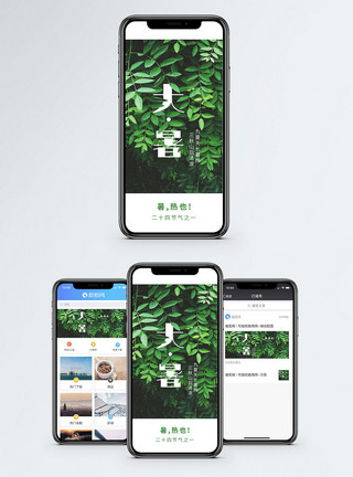 阴凉大暑手机海报配图模板