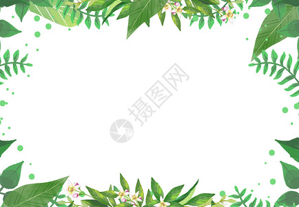 西瓜装饰背景花卉背景插画