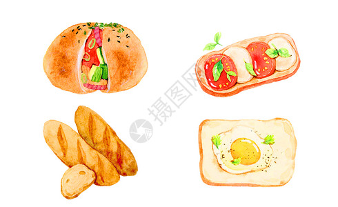 餐饮原料水彩美食插画插画