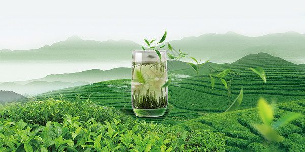 玻璃杯创意绿茶场景设计图片