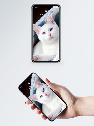 粉耳朵猫咪躺着的白猫手机壁纸模板