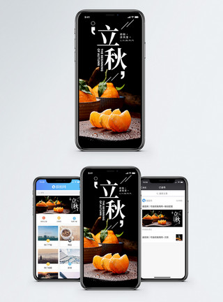 水果桔子立秋二十四节气手机海报配图模板