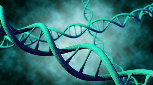 DNA基因螺旋结构高清图片