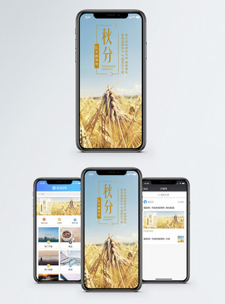 金黄的田野秋分二十四节气手机海报配图模板