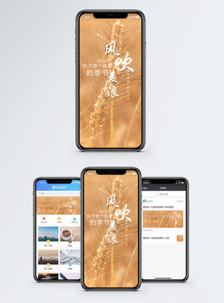 穗风吹麦浪风吹麦浪手机海报配图模板