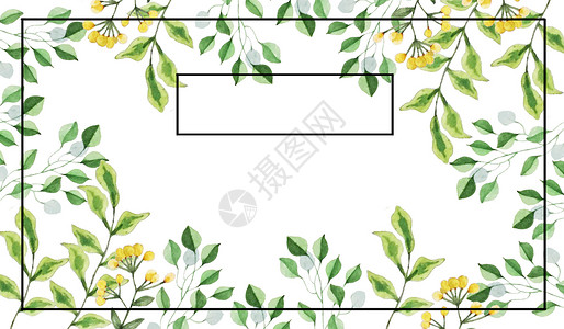 清新植物树叶边框水彩植物背景插画