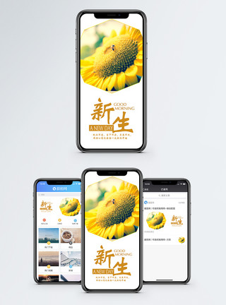 向日葵蜜蜂新生手机海报配图模板