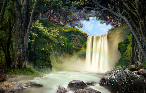 树与彩虹素材梦幻森林里的瀑布设计图片