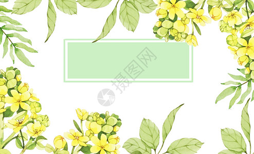 清新植物树叶边框水彩花卉背景插画