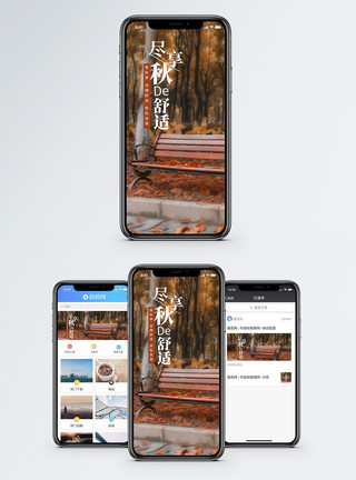 秋天游玩写意悠闲秋天手机海报配图模板