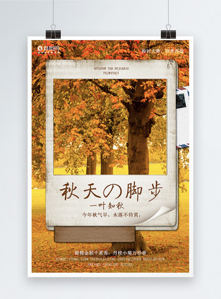 秋天树林元素一叶知秋季节海报模板