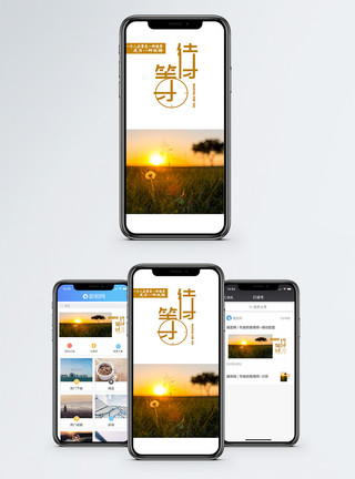 草地夕阳等待手机海报配图模板