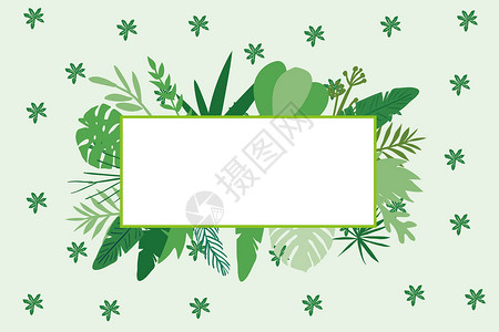 清新绿植边框植物背景插画