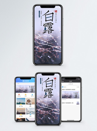 水珠素材背景白露二十四节气 手机海报配图模板