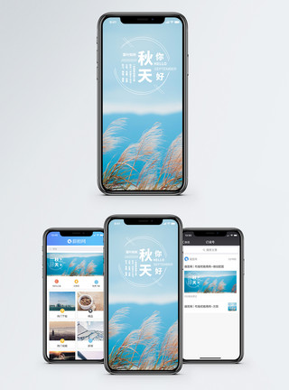 落叶知秋你好秋天手机海报配图模板