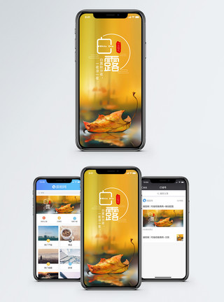 枯叶蝶白露手机海报配图模板