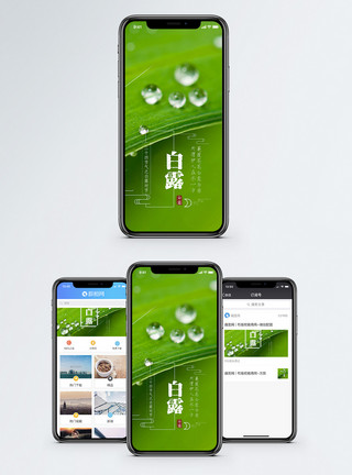 绿叶上的露珠白露手机海报配图模板