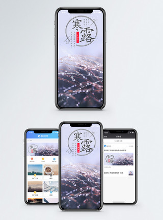 手点击手机二十四节气寒露手海报配图模板