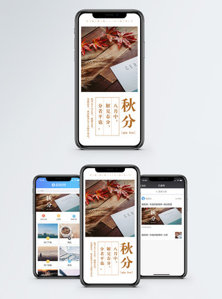 秋天游玩秋分手机海报配图模板