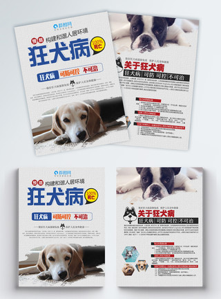 公益献血预防狂犬病宣传单模板