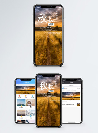 秋天游玩秋收手机海报配图模板