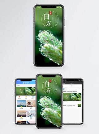 秋天游玩白露手机配图模板