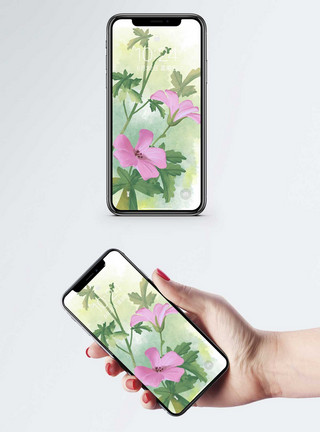 简笔画花朵花朵手机壁纸模板