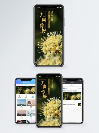 秋天游玩九月你好手机海报配图模板