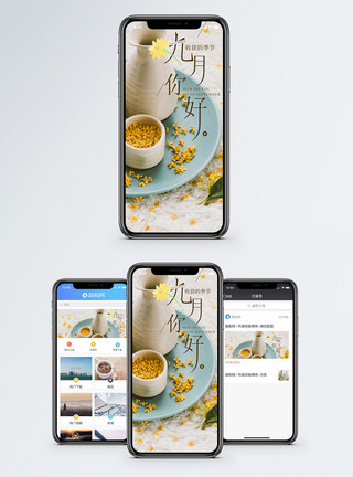 秋祭月九月你好手机海报配图模板