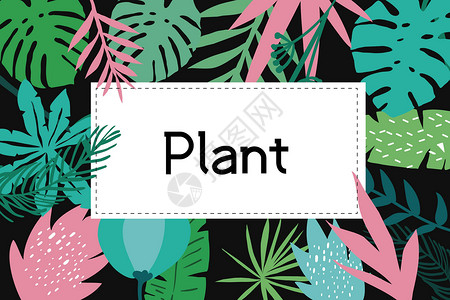 植物背景背景图片