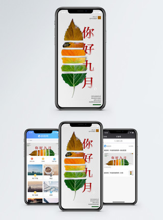 秋季日签你好九月手机海报配图模板