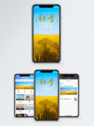 金黄稻谷秋季手机海报配图模板