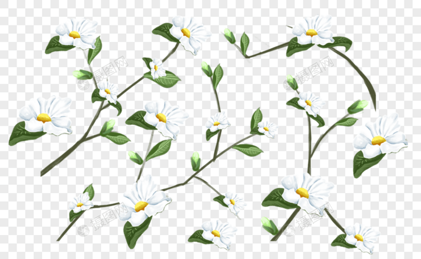 植物花卉底纹图片