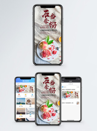新鲜石榴石榴季手机海报配图模板