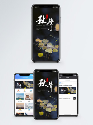 落叶知秋手机海报配图模板