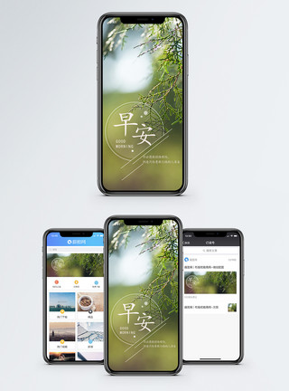清新树叶树枝早安手机海报配图模板