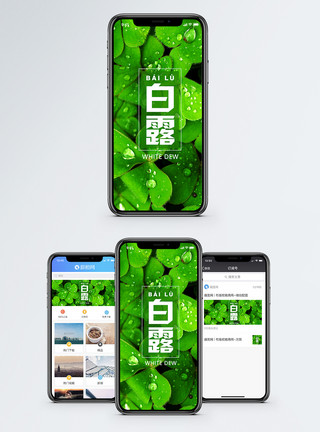 绿色四叶草白露手机海报配图模板
