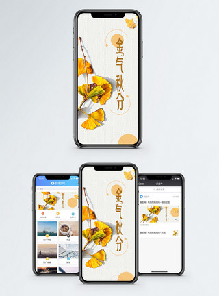 金银杏叶金气秋分手机海报配图模板