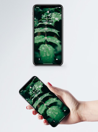 绿叶衬露手机壁纸模板