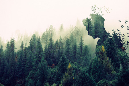 唯美绿色森林创意森林场景设计图片