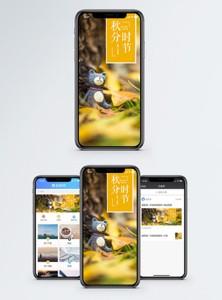 秋天健身秋分手机海报配图模板