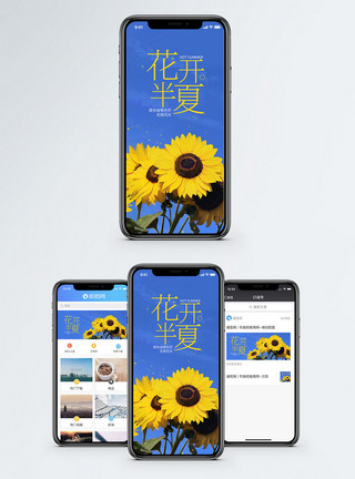 向阳花开花开半夏手机海报配图模板