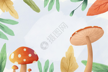 红色叶子背景可爱的蘑菇插画