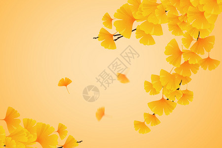秋天的枫叶枝秋天插画
