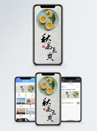 金秋赏桂季节热点手机海报配图模板