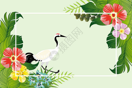 仙鹤背景素材植物背景插画