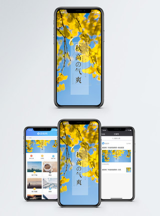 银杏秋高气爽手机海报配图模板