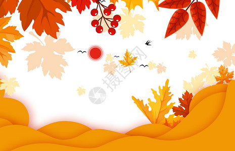 秋分场景橙色银杏叶高清图片