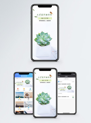 多肉盆栽春天心情记录手机海报配图模板