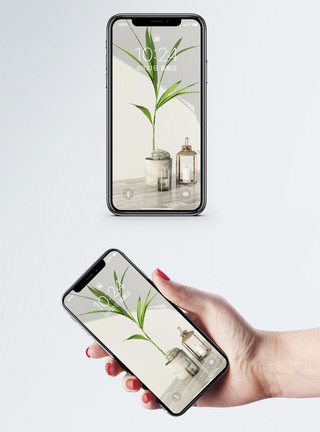 画面装饰植物手机壁纸模板